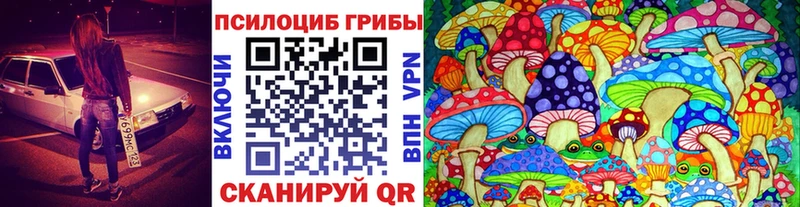 Псилоцибиновые грибы Magic Shrooms  закладка  Раменское 